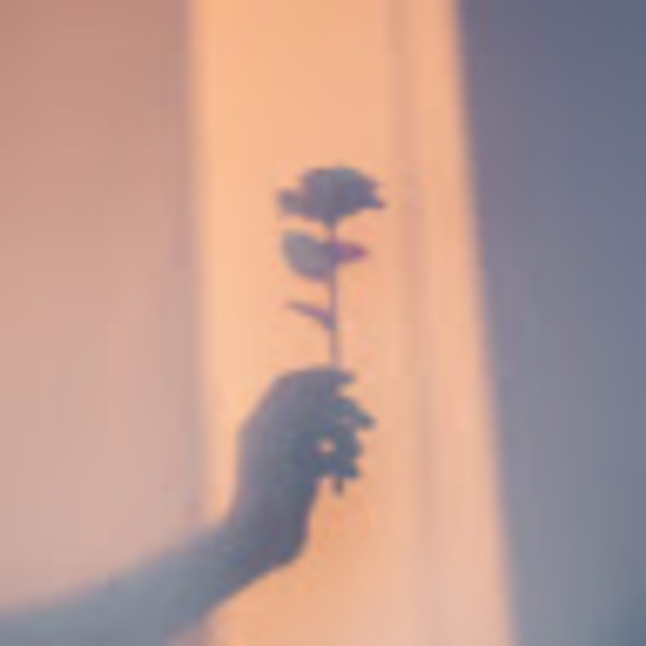 Meet your Posher, Megan - Picture 1 of 1